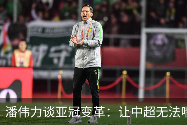 潘伟力谈亚冠变革：让中超无法喘息 球迷不用看了